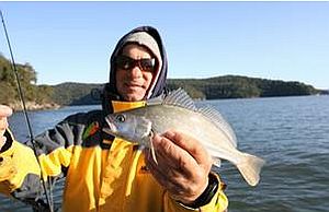 DPI in hot water over jewies